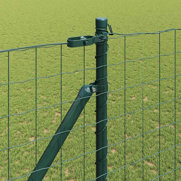 Euroaita Piikeillä 10 x 1,6 m PVC-pinnoitettu teräs Vihreä