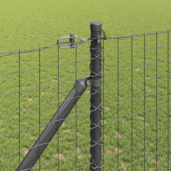 Euroaita Piikeillä 10 x 1,4 m PVC-pinnoitettu teräs Harmaa