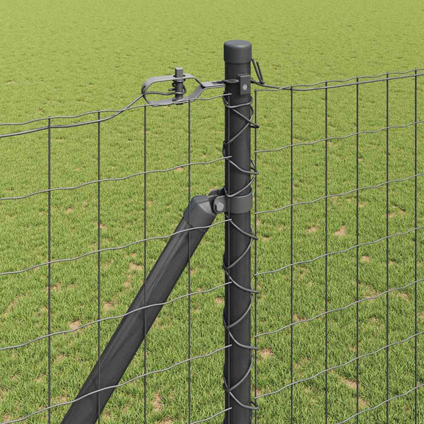 Euroaita Piikeillä 10 x 1,6 m PVC-pinnoitettu teräs Harmaa