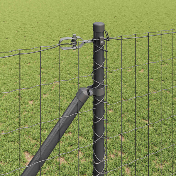 Euroaita Piikeillä 10 x 1,4 m PVC-pinnoitettu teräs Harmaa