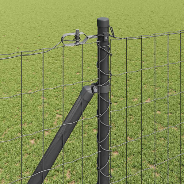 Euroaita Piikeillä 10 x 1,5 m PVC-pinnoitettu teräs Harmaa