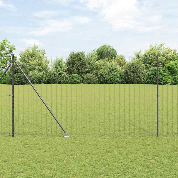Euroaita Piikeillä 10 x 1,6 m PVC-pinnoitettu teräs Harmaa