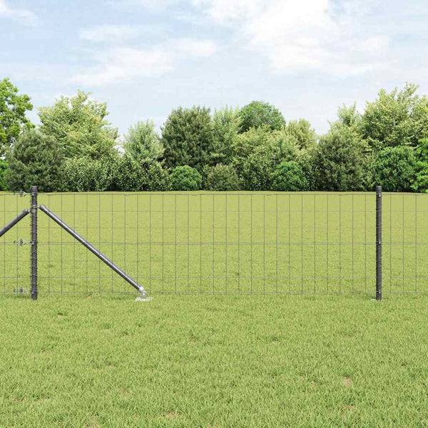 Euroaita Piikeillä 10 x 0,6 m PVC-pinnoitettu teräs Harmaa