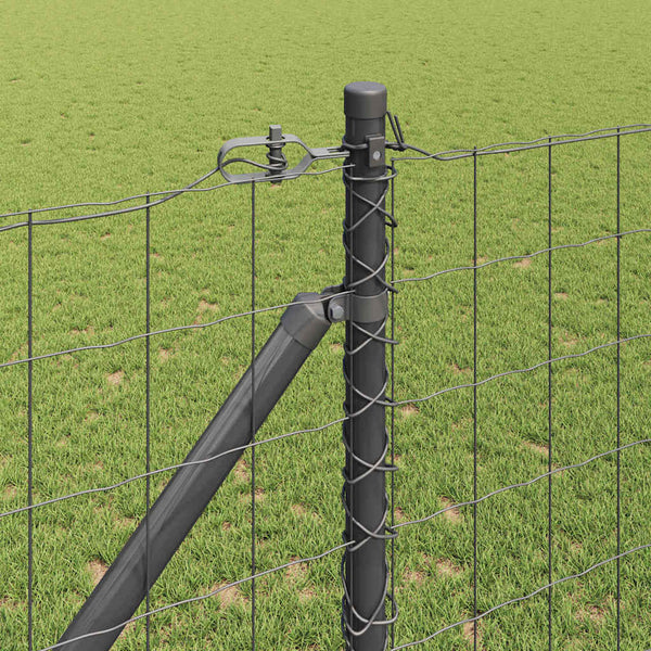 Euroaita Piikeillä 10 x 1,2 m PVC-pinnoitettu teräs Harmaa