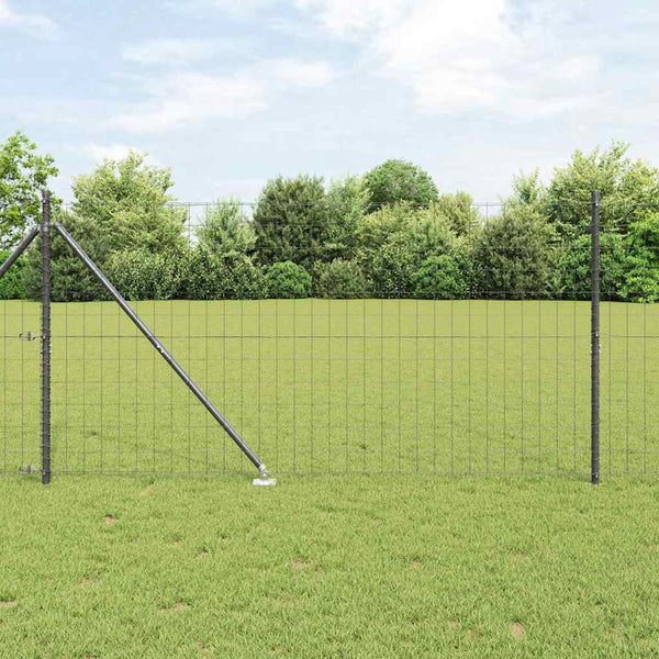 Euroaita Piikeillä 10 x 1,2 m PVC-pinnoitettu teräs Harmaa
