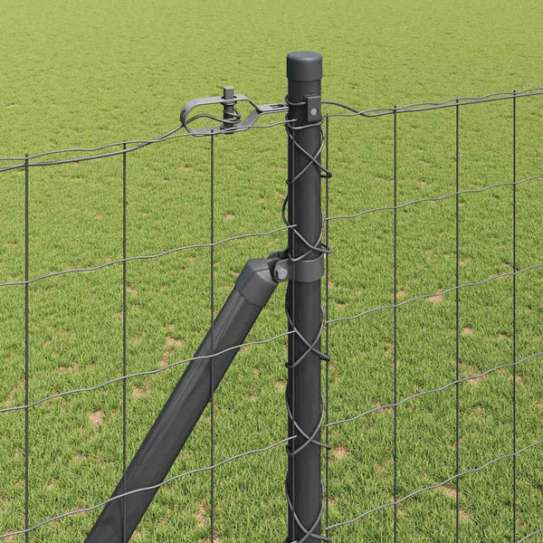 Euroaita Piikeillä 10 x 1,6 m PVC-pinnoitettu teräs Harmaa