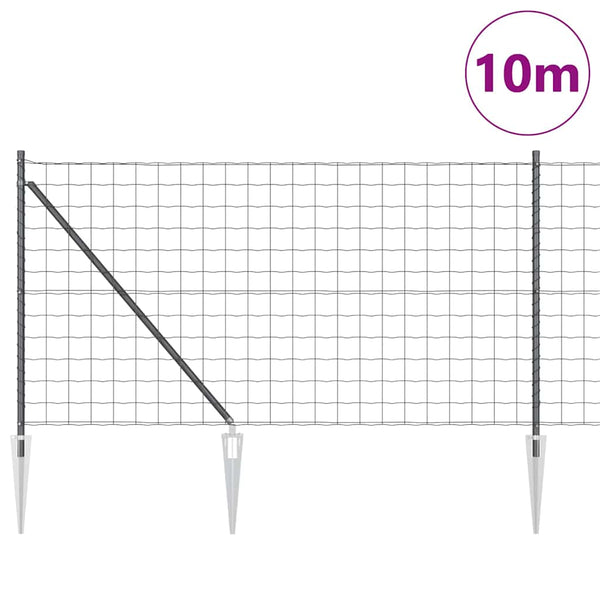 Euroaita Piikeillä 10 x 1 m PVC-pinnoitettu teräs Harmaa Verkko