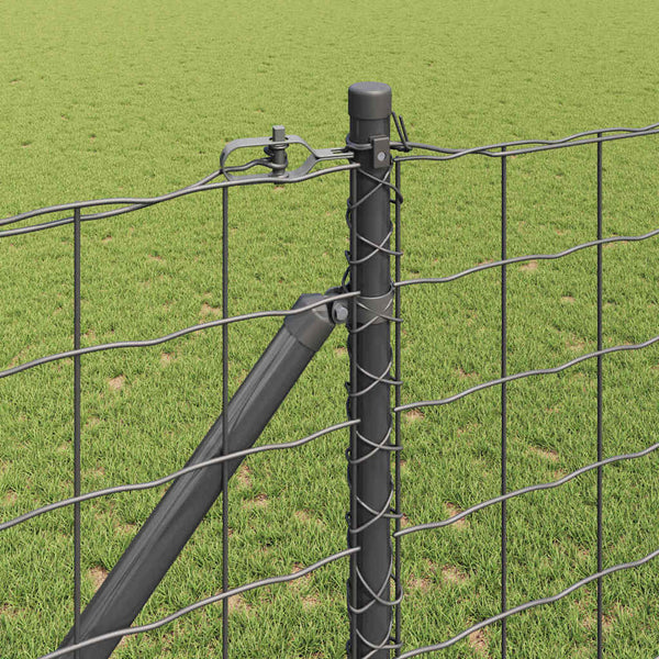 Euroaita Piikeillä 10 x 1,4 m PVC-pinnoitettu teräs Harmaa