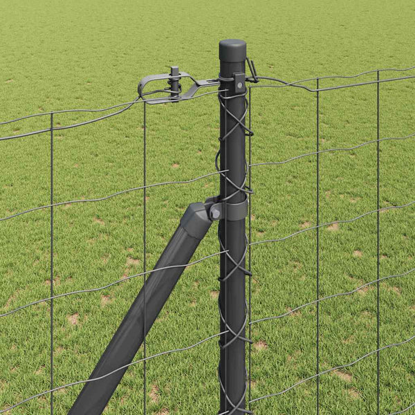 Euroaita Piikeillä 10 x 1,6 m PVC-pinnoitettu teräs Harmaa