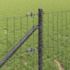 Euroaita Piikeillä 25 x 0,4 m PVC-pinnoitettu teräs Harmaa