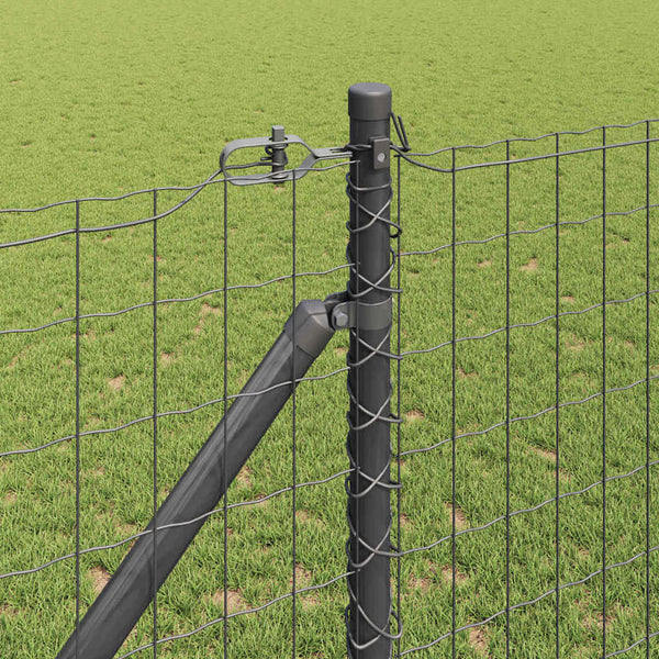 Euroaita Piikeillä 25 x 1,2 m PVC-pinnoitettu teräs Harmaa