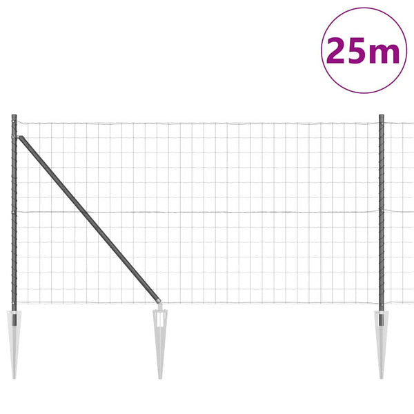 Euroaita Piikeillä 25 x 1 m PVC-pinnoitettu teräs Harmaa Verkko