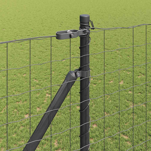Euroaita Piikeillä 10 x 1,5 m PVC-pinnoitettu teräs Harmaa