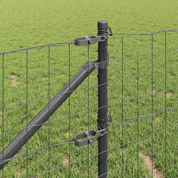 Euroaita Piikeillä 25 x 0,8 m PVC-pinnoitettu teräs Harmaa