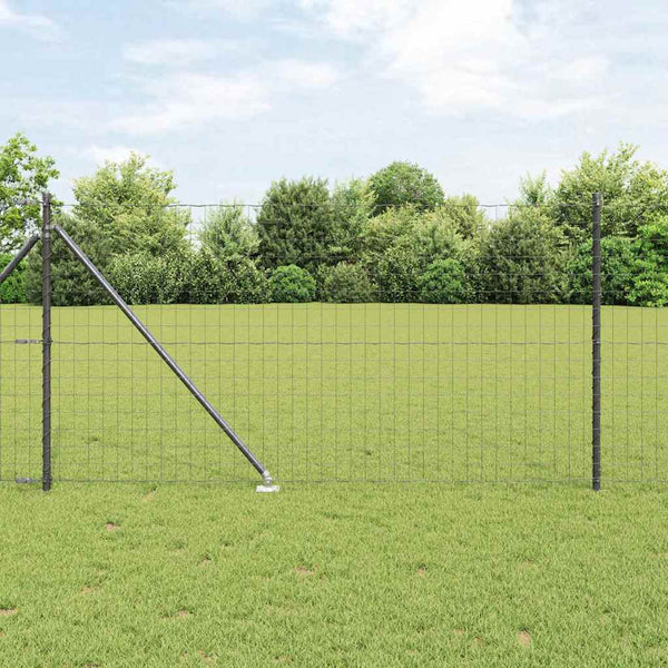 Euroaita Piikeillä 25 x 1 m PVC-pinnoitettu teräs Harmaa Verkko