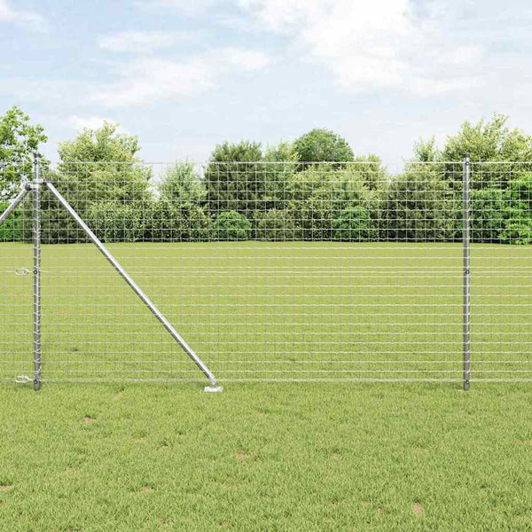 Ulkoilma-Euroaita piikkien kanssa 10 x 1 m Galvanoitu teräs
