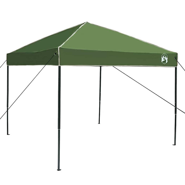 Katos teltta 243 x 243 x 251 cm Vihreä Kangas