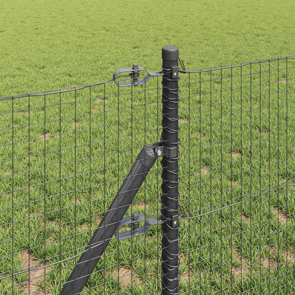 Kehitetty liitetty langoittain 100 x 0,5 m Harmaa Verkko