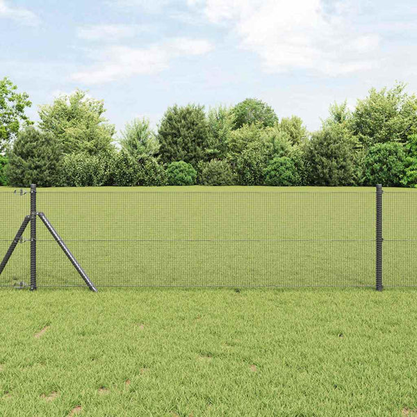 Kehitetty liitetty langoittain 100 x 0,8 m Harmaa Verkko