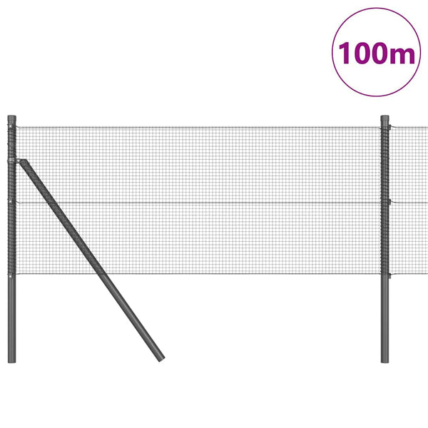 Kehitetty liitetty langoittain 100 x 0,8 m Harmaa Verkko