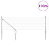 Langoitettu este piikeillä 100 x 0,5 m Galvanoitu teräs Hopea