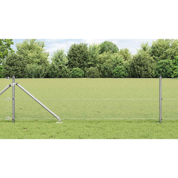 Langoitettu este piikeillä 100 x 0,6 m Galvanoitu teräs Hopea