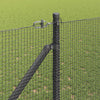 Langoitettu este piikeillä 10 x 1,4 m PVC-pinnoitettu teräs