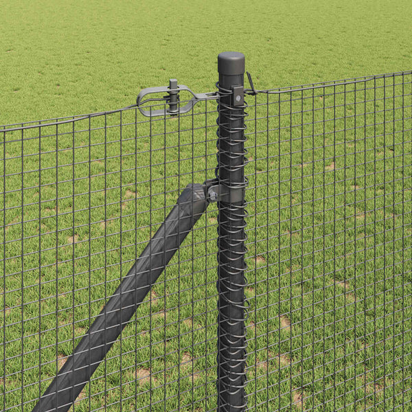 Langoitettu este piikeillä 10 x 1,4 m PVC-pinnoitettu teräs