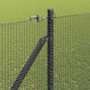 Langoitettu este piikeillä 12 x 1,5 m PVC-pinnoitettu teräs