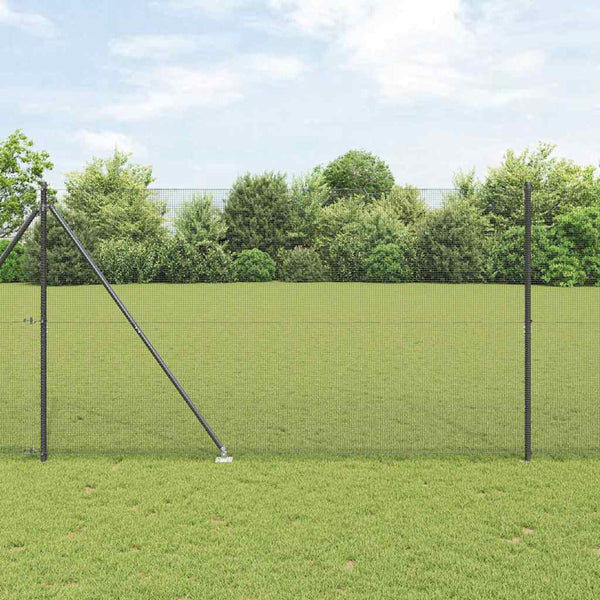 Langoitettu este piikeillä 12 x 1,5 m PVC-pinnoitettu teräs