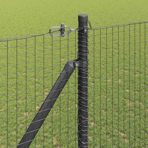 Langoitettu este piikeillä 10 x 1,6 m PVC-pinnoitettu teräs