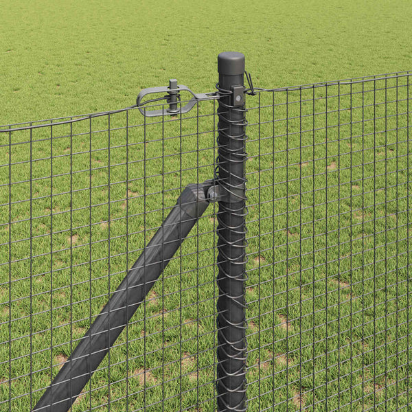 Langoitettu este piikeillä 25 x 1,2 m PVC-pinnoitettu teräs