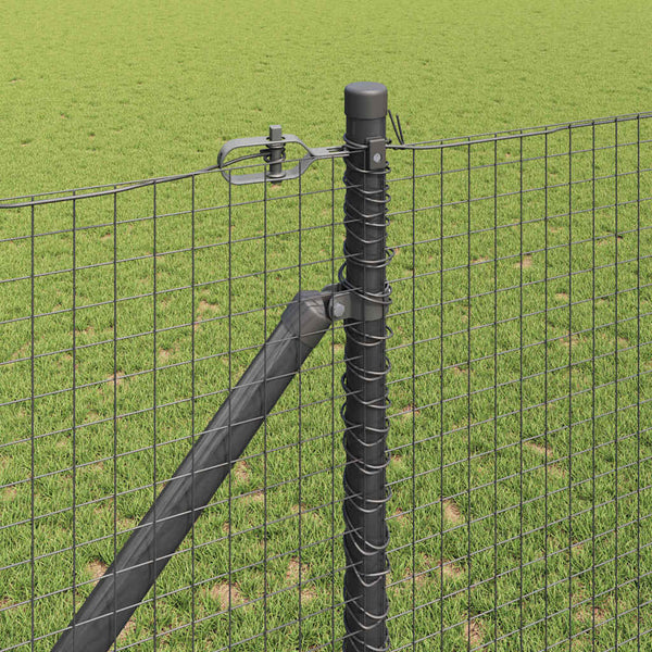 Langoitettu este piikeillä 25 x 1,2 m PVC-pinnoitettu teräs
