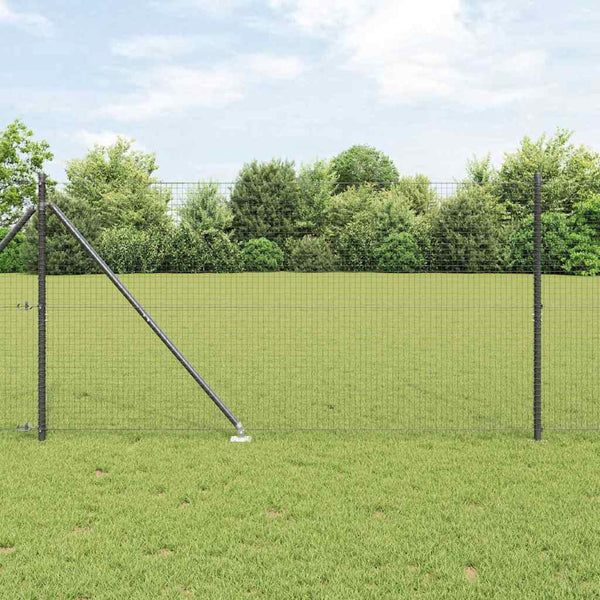 Langoitettu este piikeillä 25 x 1,2 m PVC-pinnoitettu teräs
