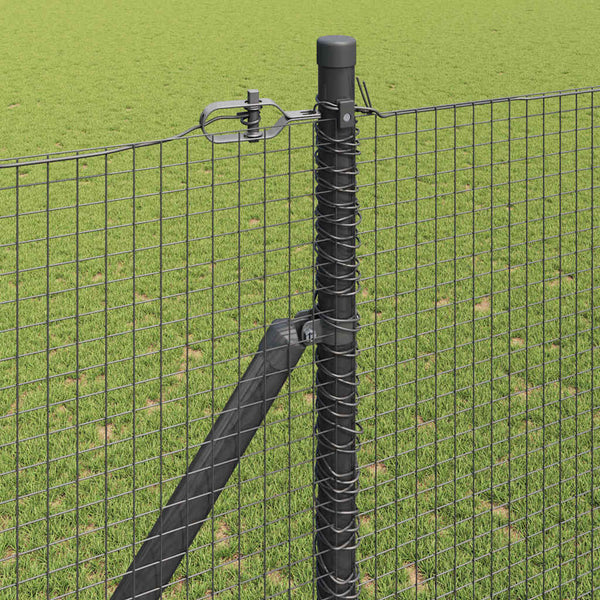 Langoitettu este piikeillä 25 x 1,5 m PVC-pinnoitettu teräs