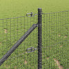 Langoitettu este piikeillä 50 x 0,4 m PVC-pinnoitettu teräs