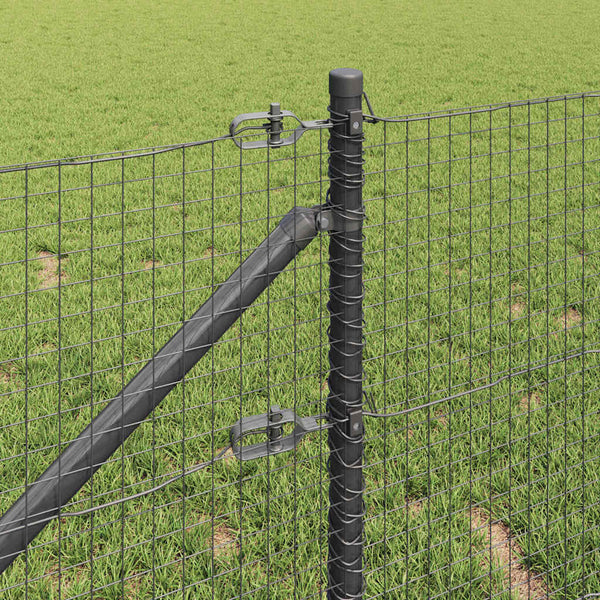 Langoitettu este piikeillä 50 x 0,4 m PVC-pinnoitettu teräs