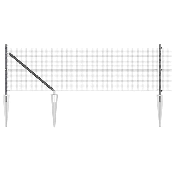 Langoitettu este piikeillä 100 x 0,5 m PVC-pinnoitettu teräs