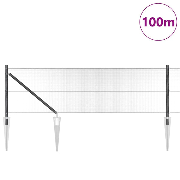 Langoitettu este piikeillä 100 x 0,8 m PVC-pinnoitettu teräs