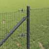 Langoitettu este piikeillä 100 x 0,8 m PVC-pinnoitettu teräs