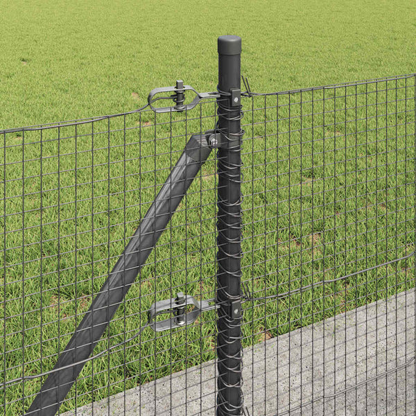 Hitsattu metalliverkkoaita betoni-juurella 100 x 0,5 m Harmaa