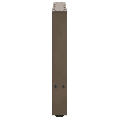 Sohvapöydän jalat luonnonteräs 2 kpl 50x(42-43) cm teräs