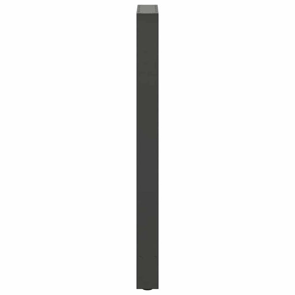 Baaripöydän jalat antrasiitti 2 kpl 40x(100-101) cm teräs