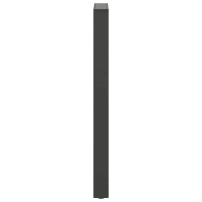 Baaripöydän jalat 2 kpl antrasiitti 50x(100-101) cm teräs