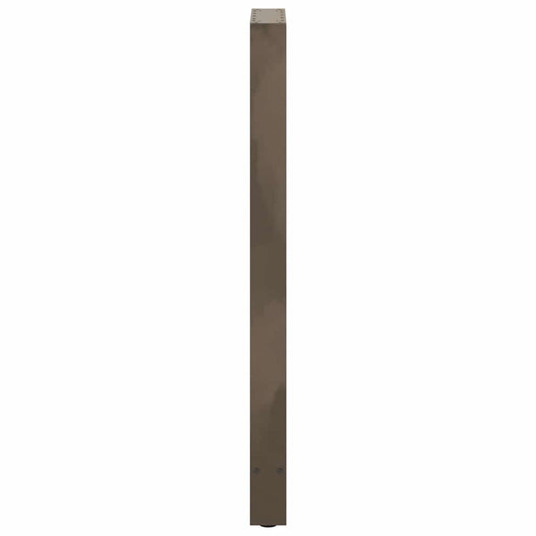 Baaripöydän jalat, luonnonvärinen teräs, 2 kpl, 40 x (110-111) cm, teräs