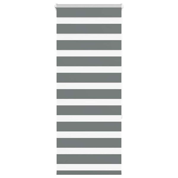 Rullaverho seepra Jostina 55x150cm (kankaan leveys 50,9 cm polyesteri)