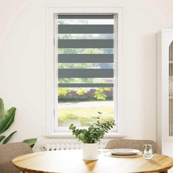 Rullaverho seepra Jostina 55x150cm (kankaan leveys 50,9 cm polyesteri)