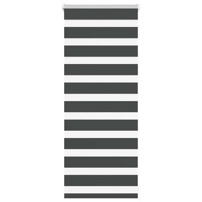 Seepra rullaverho Jostina 60x100cm (kankaan leveys 55,9 cm polyesteri)