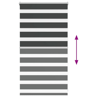 Seepra rullaverho Jostina 85x100cm (kankaan leveys 80,9 cm polyesteri)