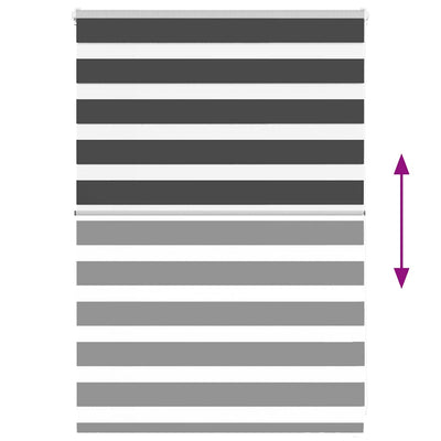 Seepra rullaverho Jostina 100x100cm (kankaan leveys 95,9 cm polyesteri)